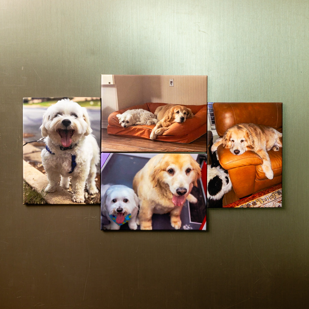 Custom Rectangular Photo Magnets (set of 04)